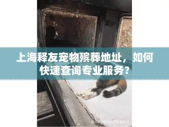 上海释友宠物殡葬地址，如何快速查询专业服务？
