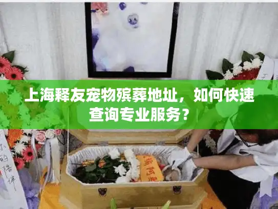 上海释友宠物殡葬地址，如何快速查询专业服务？