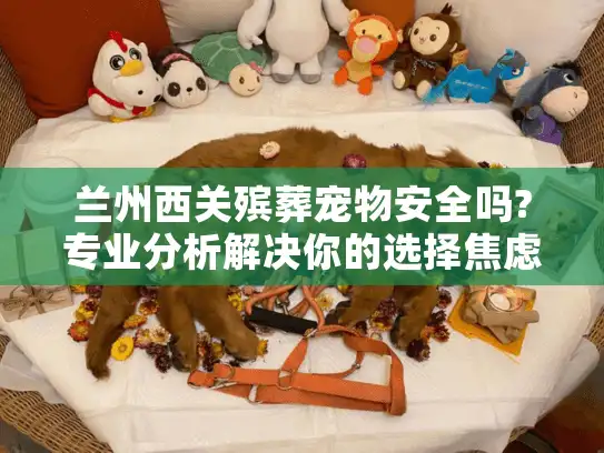 兰州西关殡葬宠物安全吗?专业分析解决你的选择焦虑