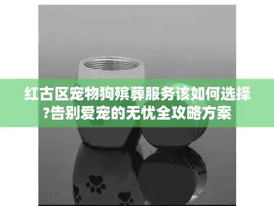 红古区宠物狗殡葬服务该如何选择?告别爱宠的无忧全攻略方案