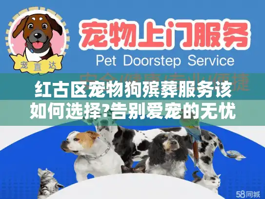 红古区宠物狗殡葬服务该如何选择?告别爱宠的无忧全攻略方案