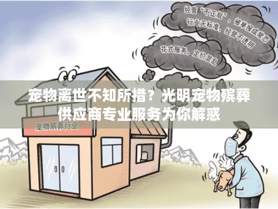 宠物离世不知所措？光明宠物殡葬供应商专业服务为你解惑