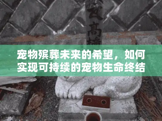 宠物殡葬未来的希望，如何实现可持续的宠物生命终结服务