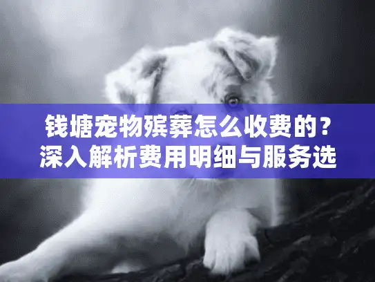 钱塘宠物殡葬怎么收费的？深入解析费用明细与服务选择