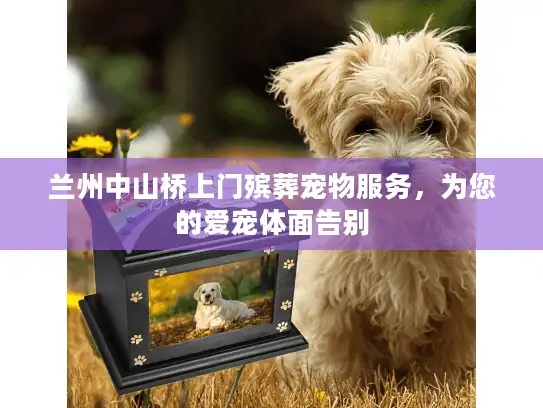兰州中山桥上门殡葬宠物服务，为您的爱宠体面告别
