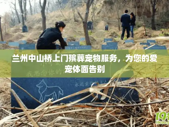 兰州中山桥上门殡葬宠物服务，为您的爱宠体面告别