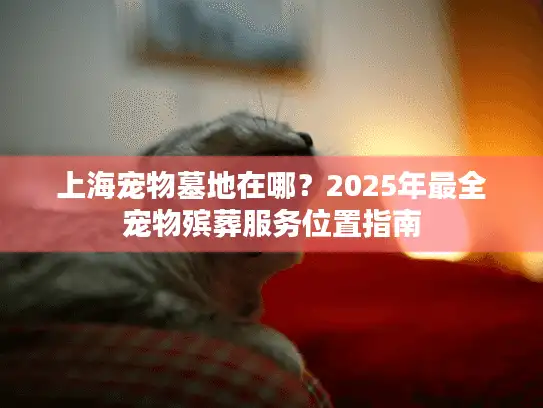 上海宠物墓地在哪？2025年最全宠物殡葬服务位置指南