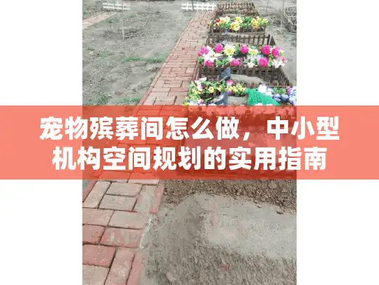 宠物殡葬间怎么做，中小型机构空间规划的实用指南