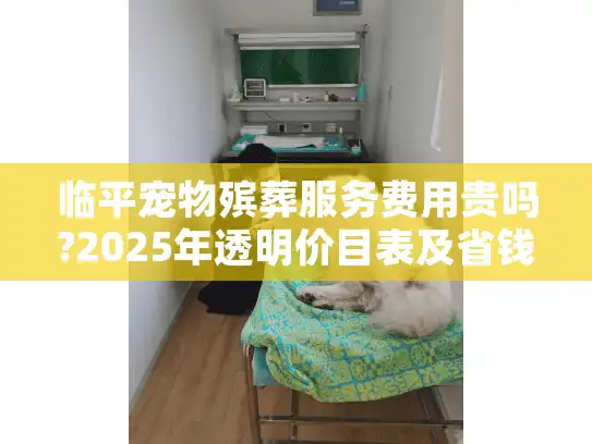 临平宠物殡葬服务费用贵吗?2025年透明价目表及省钱建议