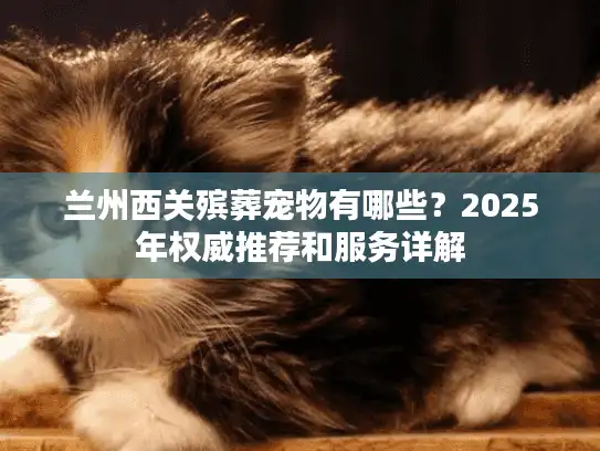 兰州西关殡葬宠物有哪些？2025年权威推荐和服务详解