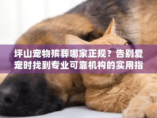 坪山宠物殡葬哪家正规？告别爱宠时找到专业可靠机构的实用指南