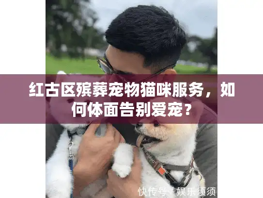 红古区殡葬宠物猫咪服务，如何体面告别爱宠？