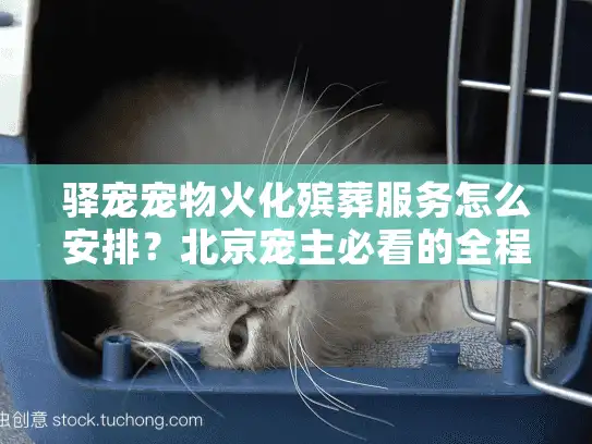 驿宠宠物火化殡葬服务怎么安排？北京宠主必看的全程指南