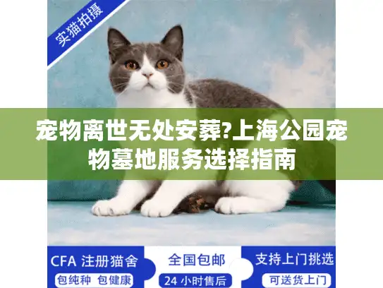 宠物离世无处安葬?上海公园宠物墓地服务选择指南