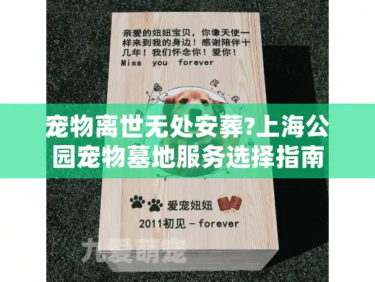 宠物离世无处安葬?上海公园宠物墓地服务选择指南