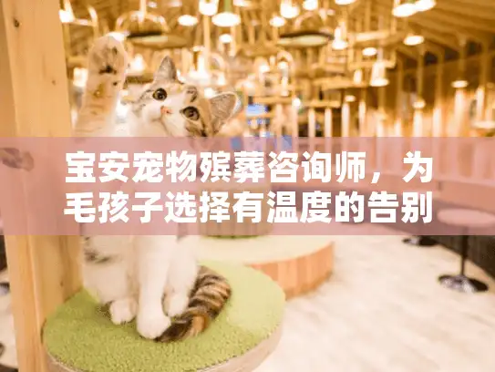 宝安宠物殡葬咨询师，为毛孩子选择有温度的告别服务