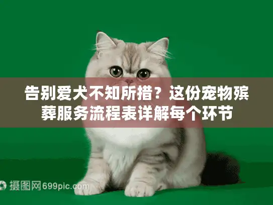 告别爱犬不知所措？这份宠物殡葬服务流程表详解每个环节