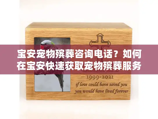 宝安宠物殡葬咨询电话？如何在宝安快速获取宠物殡葬服务？