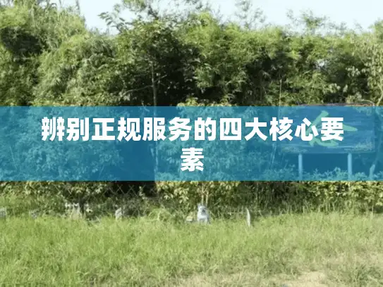 辨别正规服务的四大核心要素