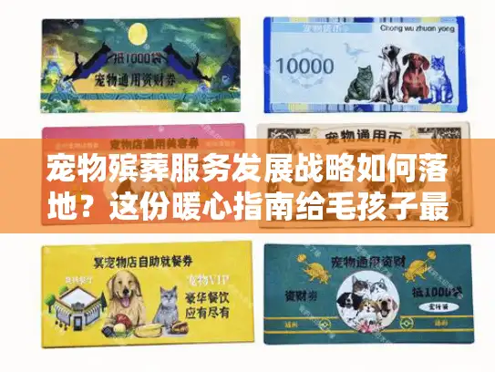 宠物殡葬服务发展战略如何落地？这份暖心指南给毛孩子最后体面