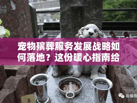 宠物殡葬服务发展战略如何落地？这份暖心指南给毛孩子最后体面