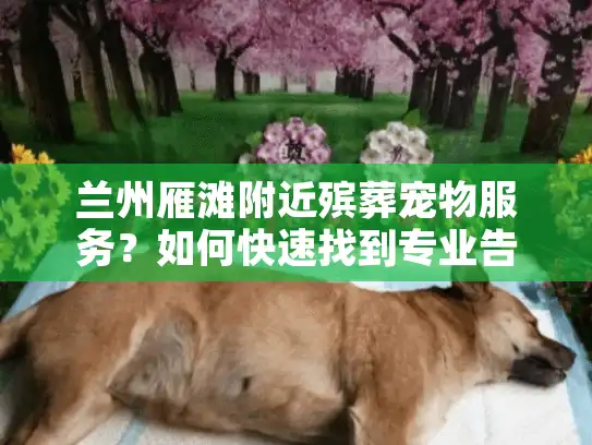 兰州雁滩附近殡葬宠物服务？如何快速找到专业告别方案？