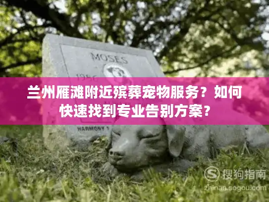 兰州雁滩附近殡葬宠物服务？如何快速找到专业告别方案？