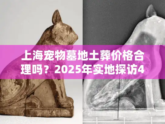 上海宠物墓地土葬价格合理吗？2025年实地探访4家殡葬机构全记录