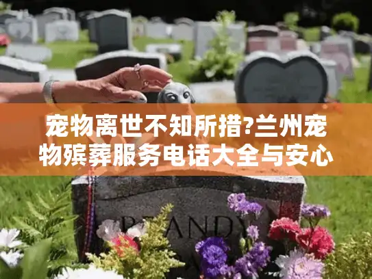 宠物离世不知所措?兰州宠物殡葬服务电话大全与安心指南