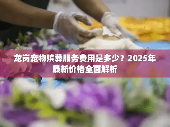 龙岗宠物殡葬服务费用是多少？2025年最新价格全面解析