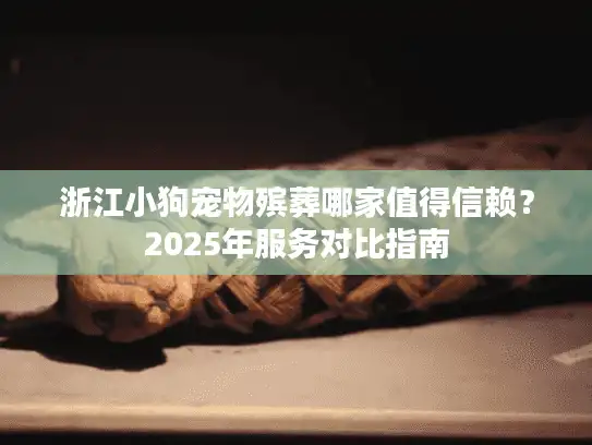 浙江小狗宠物殡葬哪家值得信赖？2025年服务对比指南