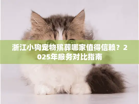 浙江小狗宠物殡葬哪家值得信赖？2025年服务对比指南