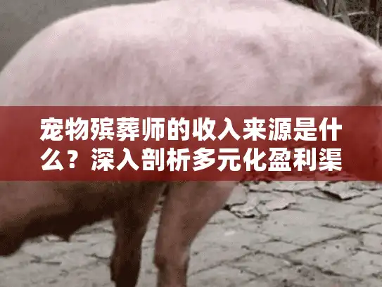宠物殡葬师的收入来源是什么？深入剖析多元化盈利渠道