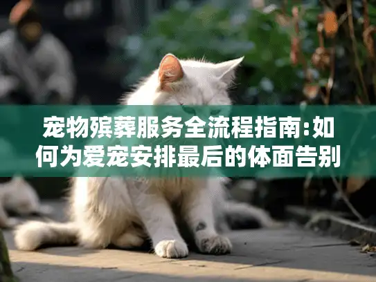 宠物殡葬服务全流程指南:如何为爱宠安排最后的体面告别