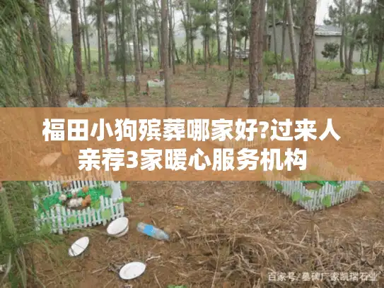 福田小狗殡葬哪家好?过来人亲荐3家暖心服务机构
