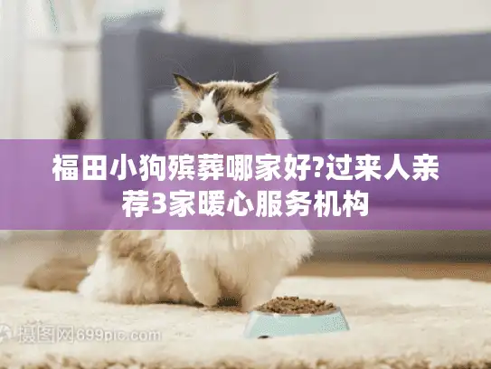 福田小狗殡葬哪家好?过来人亲荐3家暖心服务机构