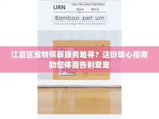 江夏区宠物殡葬服务难寻？这份暖心指南助您体面告别爱宠