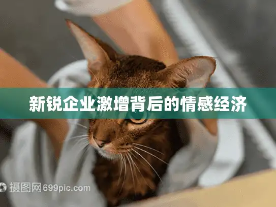 新锐企业激增背后的情感经济