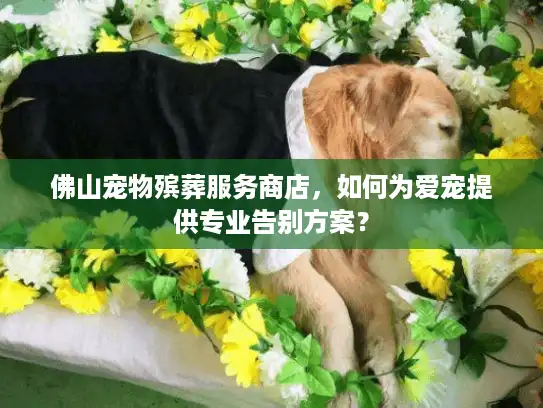 佛山宠物殡葬服务商店，如何为爱宠提供专业告别方案？