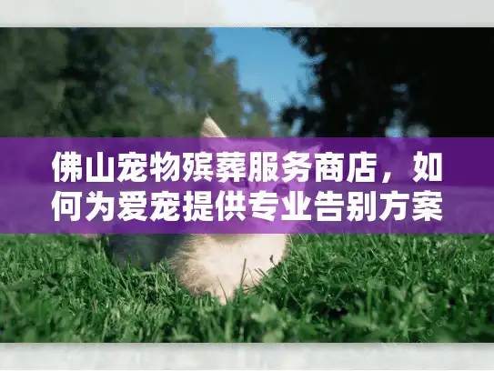 佛山宠物殡葬服务商店，如何为爱宠提供专业告别方案？