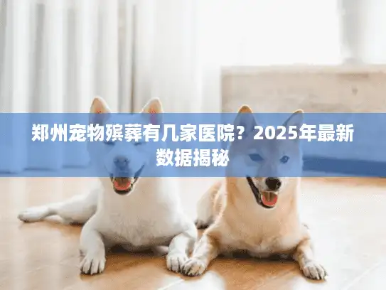 郑州宠物殡葬有几家医院？2025年最新数据揭秘