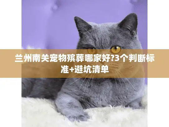 兰州南关宠物殡葬哪家好?3个判断标准+避坑清单
