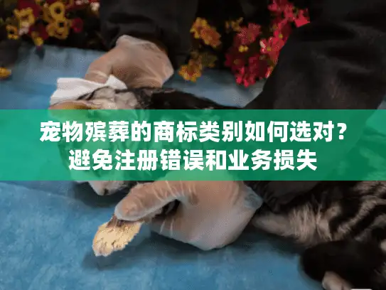 宠物殡葬的商标类别如何选对？避免注册错误和业务损失
