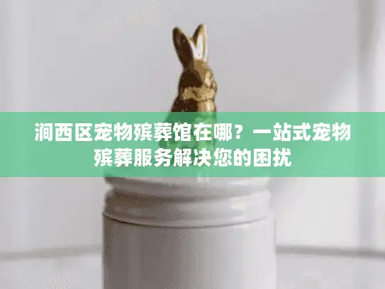涧西区宠物殡葬馆在哪？一站式宠物殡葬服务解决您的困扰