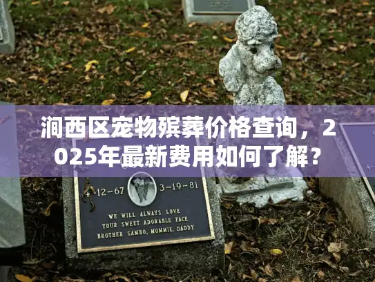 涧西区宠物殡葬价格查询，2025年最新费用如何了解？
