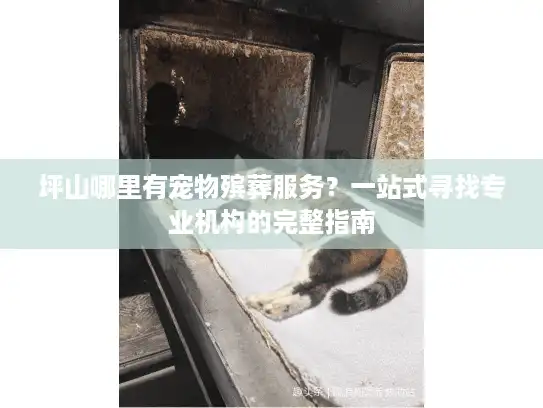 坪山哪里有宠物殡葬服务？一站式寻找专业机构的完整指南