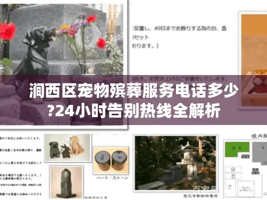 涧西区宠物殡葬服务电话多少?24小时告别热线全解析