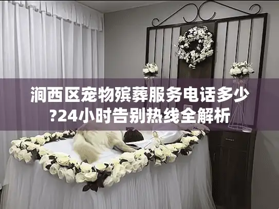 涧西区宠物殡葬服务电话多少?24小时告别热线全解析