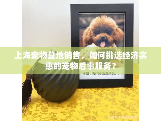 上海宠物墓地销售，如何挑选经济实惠的宠物后事服务？
