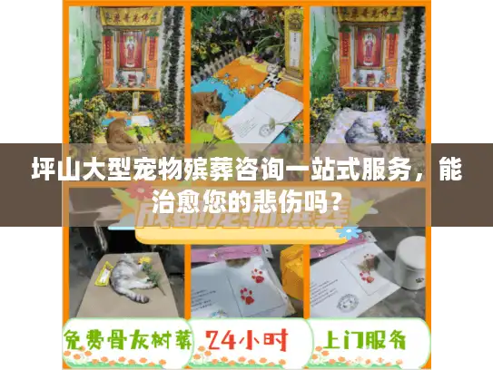 坪山大型宠物殡葬咨询一站式服务，能治愈您的悲伤吗？